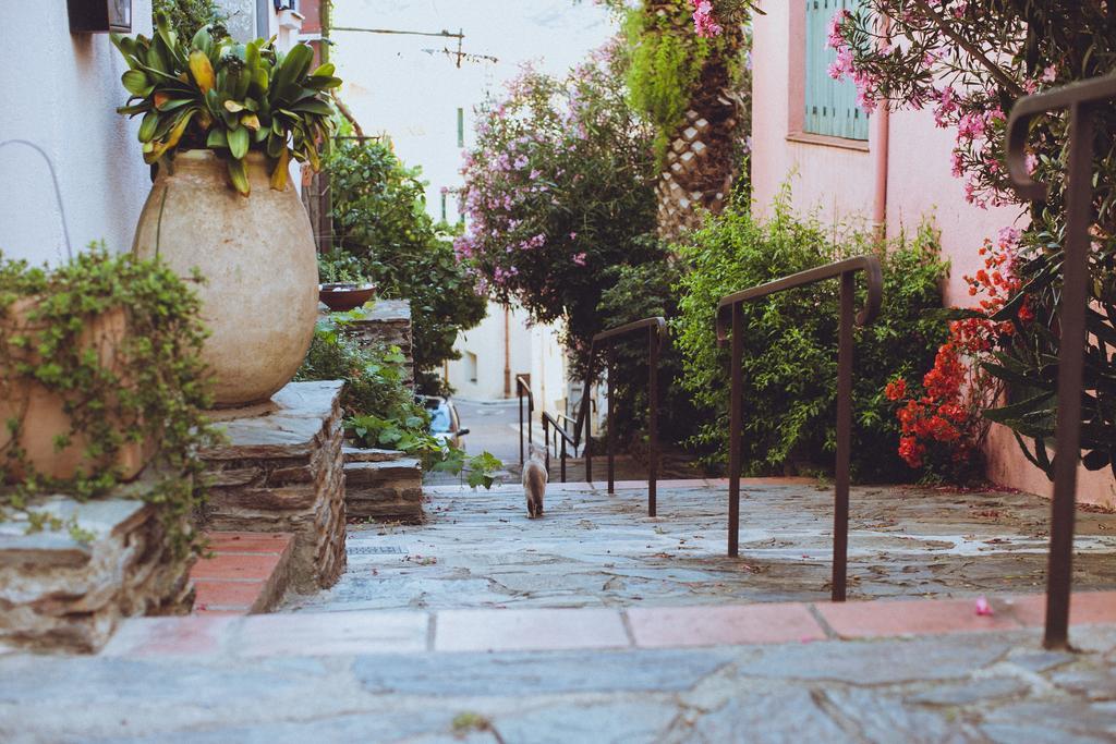 Regina'S Banyuls - Spatious Apartment Next To The Beach Extérieur photo